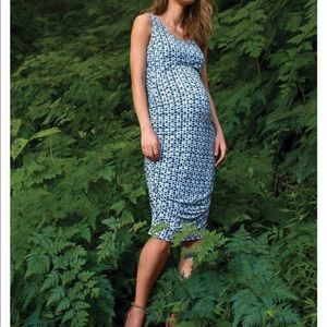 A Pea In A Pod Maternity Dress